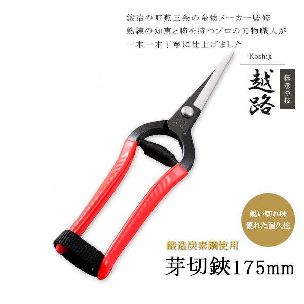 剪定ばさみ 剪定バサミ 剪定はさみ 剪定鋏 プロ用 日本製 芽切鋏 果樹