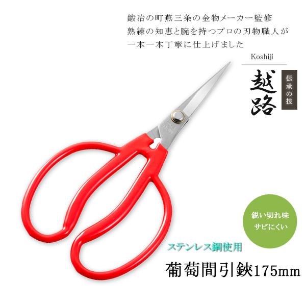 ブドウ鋏　ブドー鋏　ハサミ ぶどうハサミ ぶどう鋏 ぶどう ブドウ 葡萄 摘果 間引き 芽切