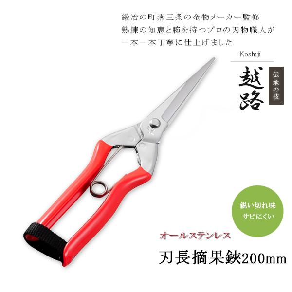 剪定ばさみ 剪定バサミ 剪定はさみ 剪定鋏 プロ用 日本製 摘花鋏 果樹