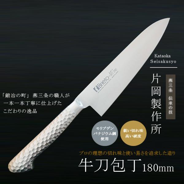 片岡製作所 包丁 鋼 ステンレス モリブデン 牛刀 洋包丁 日本製 プロ