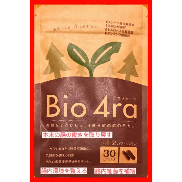 腸内環境 腸内細菌 サプリメント 4種分解菌群のチカラ・ビオフォーラ