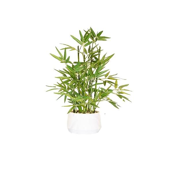 365 Blooming Decor 観賞用人工竹盆栽 フェイクグリーン 人工観葉植物