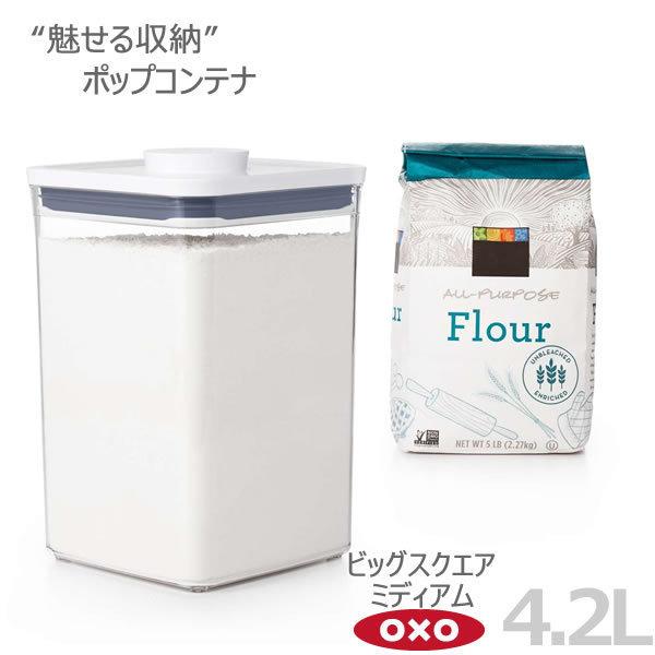 OXO IN\[ |bvRei rbOXNGA ~fBA 4.2L 00012204  [ lC {^ŊJ ۑe  yy