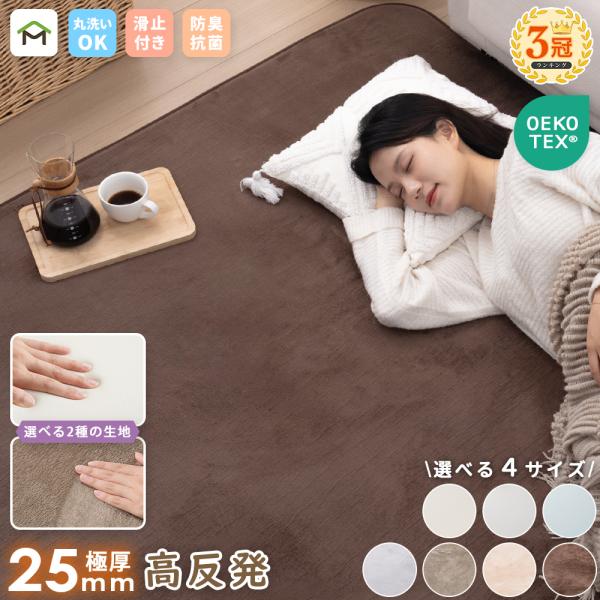 ラグ 厚手 25mm 2畳 3畳 洗える ラグマット 高反発 185x240cm