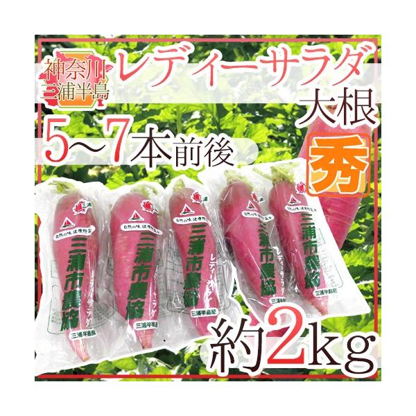 _ސ쌧OY hfB[T_卪h Gi 5`7{O 2kgy\ 11{ȍ~z 