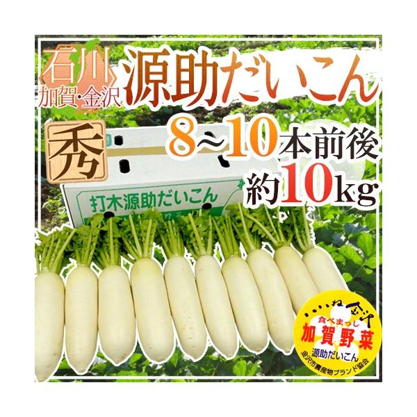 ΐ쌧 hh Gi 8`10{O 10kgy\ 11{ȍ~z 