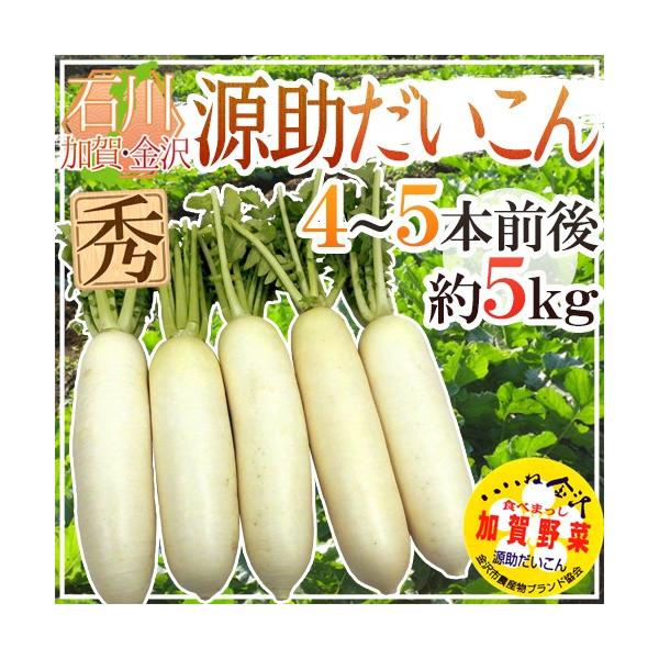 hΐ쌧 h Gi 4`5{O 5kgy\ 11{ȍ~z 