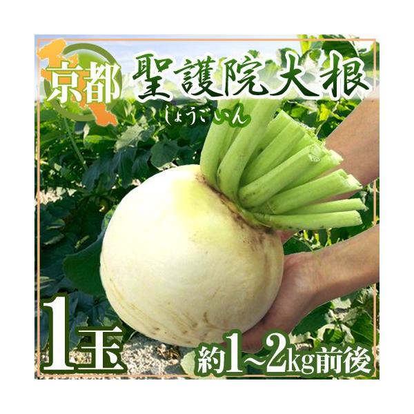 hs{ @卪h 1 1`2kgOy\ 11{ȍ~z
