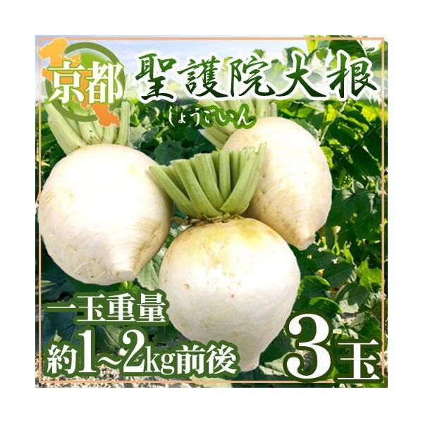hs{ @卪h 3ʁi1ʏdʖ1`2kgOjy\ 11{ȍ~z 