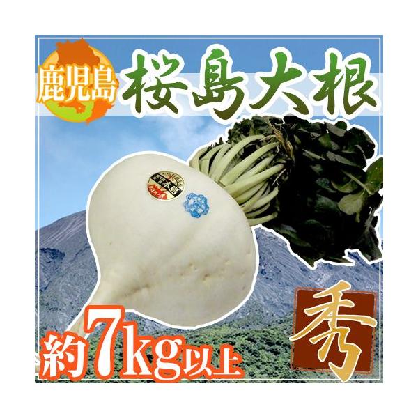  h卪h Gi 7kgȏy\ 1ȍ~z 