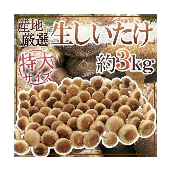 h W{h 3kg YnIy\ ׎攭z 