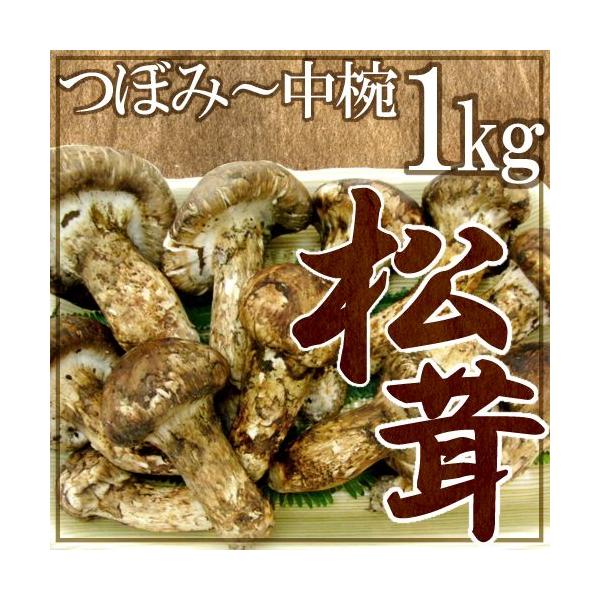 中国産 松茸 1KG」の人気商品一覧・価格比較 - 価格.com