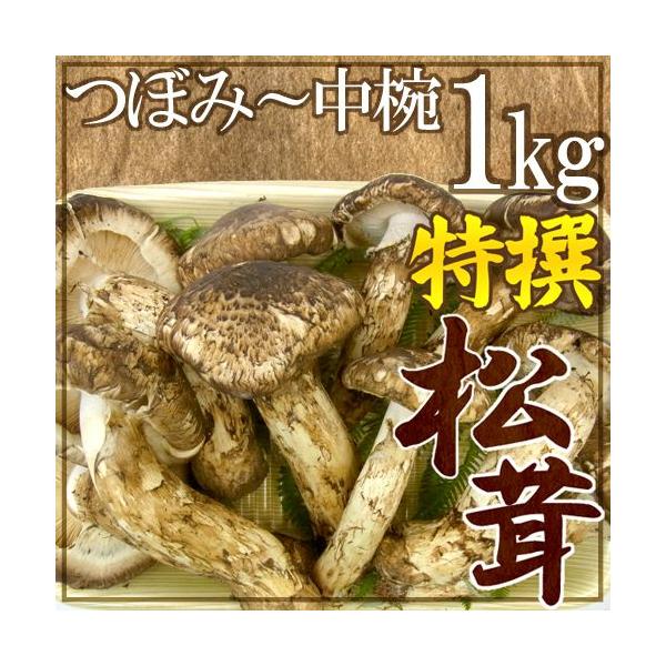 中国産 松茸 1KG」の人気商品一覧・価格比較 - 価格.com