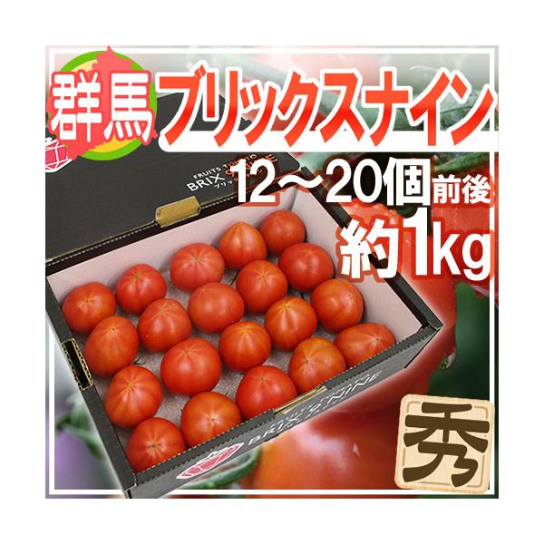 群馬県産 ”ブリックスナイン” 12〜20玉前後 約1kg 化粧箱 トマト【予約 2月以降】 送料無...