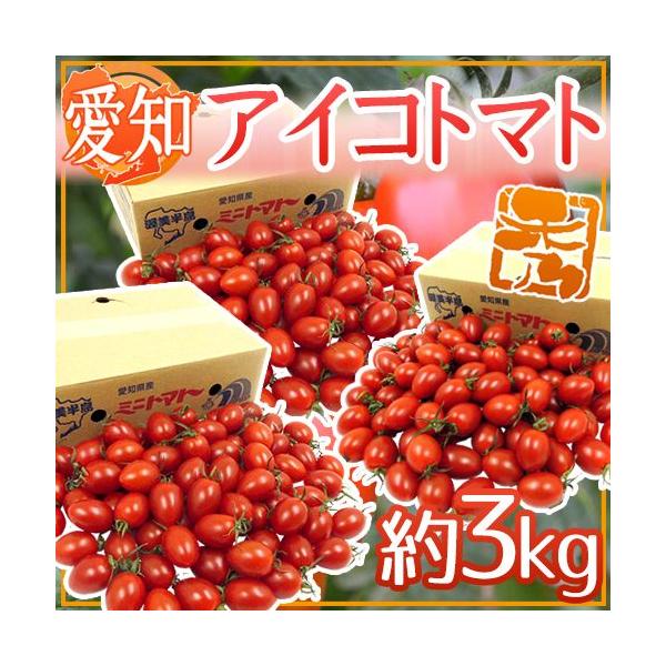 mY hACRg}gh Gi 3kgy\ 11{ȍ~z 