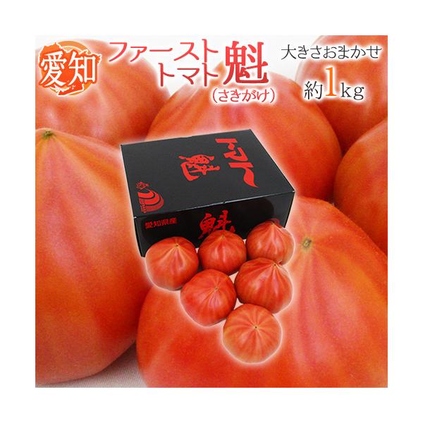 愛知県産 ”ファーストトマト 魁” 約1kg 大きさおまかせ 化粧箱 愛知県産 ”ファーストトマト 魁” 約1kg 大きさおまかせ 化粧箱