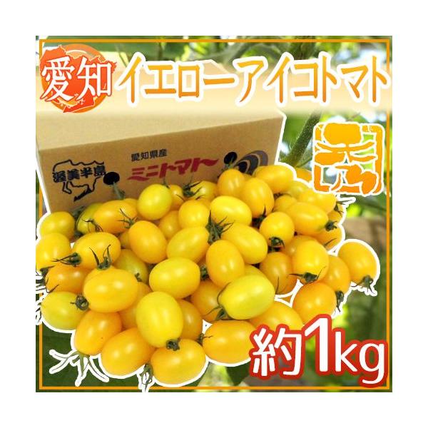 mY hCG[ACRg}gh Gi 1kgy\ 11{ȍ~z