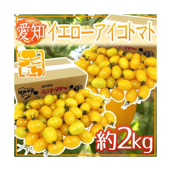 mY hCG[ACRg}gh Gi 2kgy\ 11{ȍ~z 