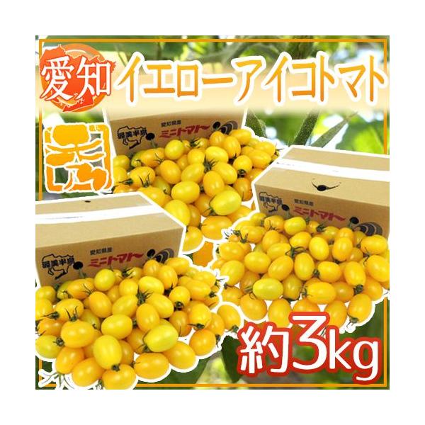 mY hCG[ACRg}gh Gi 3kgy\ 11{ȍ~z 