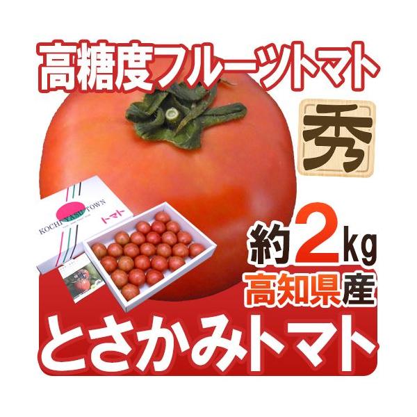 m{Y xt[cg}g hƂ݃g}gh Gi 2kg ϔy\ ׎攭z 