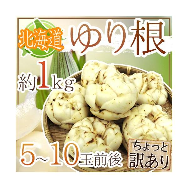 hkCY 荪h Ɩ󂠂 5`10 1kg ˁy\ 11{ȍ~z 