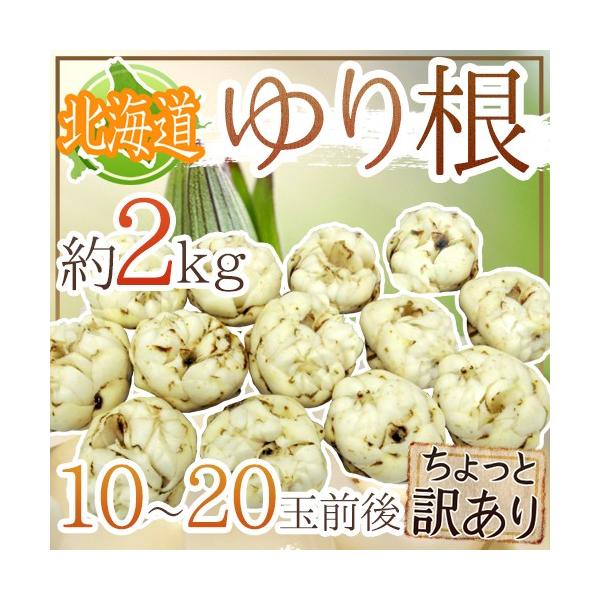 hkCY 荪h Ɩ󂠂 10`20 2kg ˁy\ 11{ȍ~z 