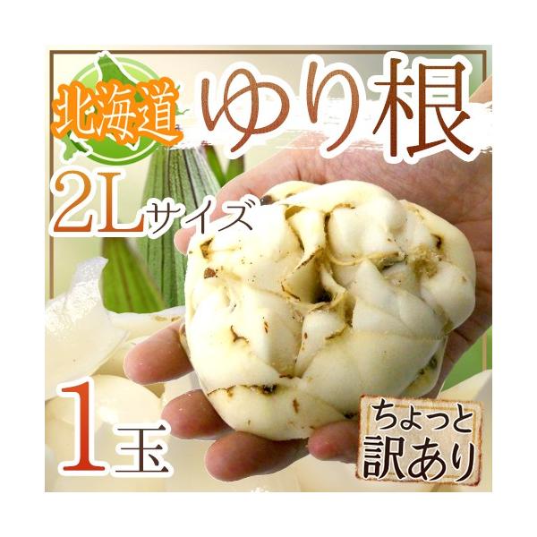 hkCY 荪h Ɩ󂠂 2LTCY 1 ˁy\ 11{ȍ~z