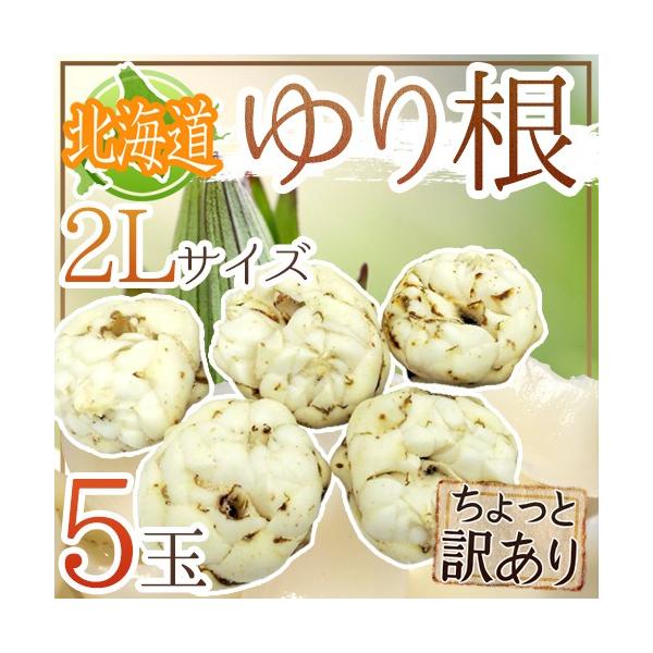 hkCY 荪h Ɩ󂠂 2LTCY 5 ˁy\ 11{ȍ~z