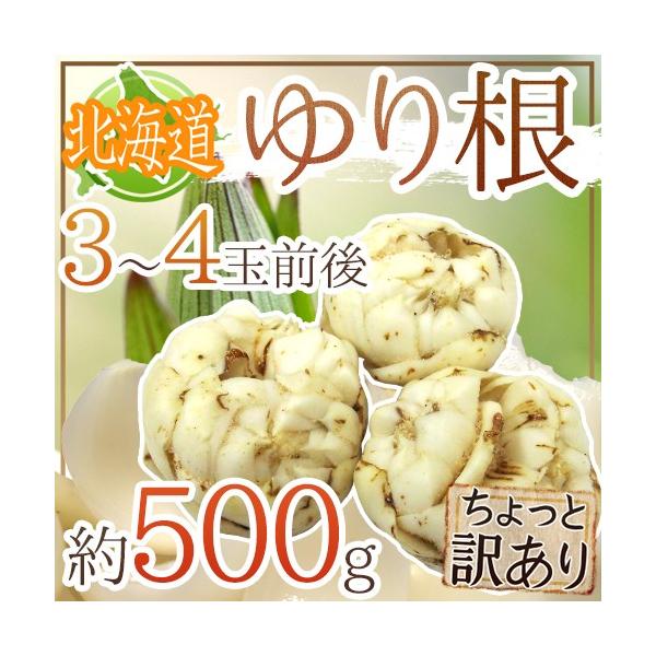 hkCY 荪h Ɩ󂠂 3`4 500g ˁy\ 11{ȍ~z