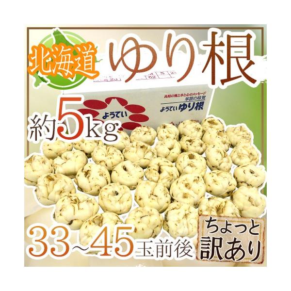 hkCY 荪h Ɩ󂠂 33`45 5kg ˁy\ 11{ȍ~z 