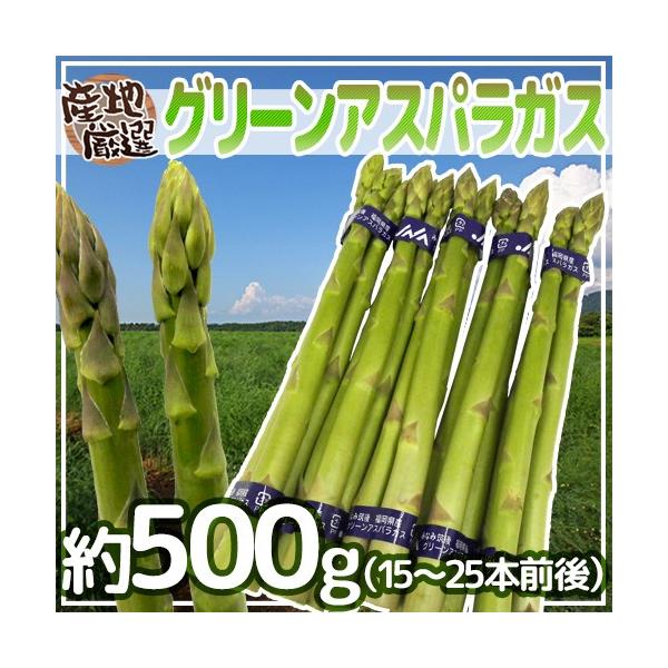 [Release date: March 30, 2026]独特のシャキっと食感と、ふくよかな香りが魅力のグリーンアスパラガス！ホワイトアスパラガスよりも、栄養価が高い！柔らかい旬の産地のアスパラガスをお届けします♪/爆買