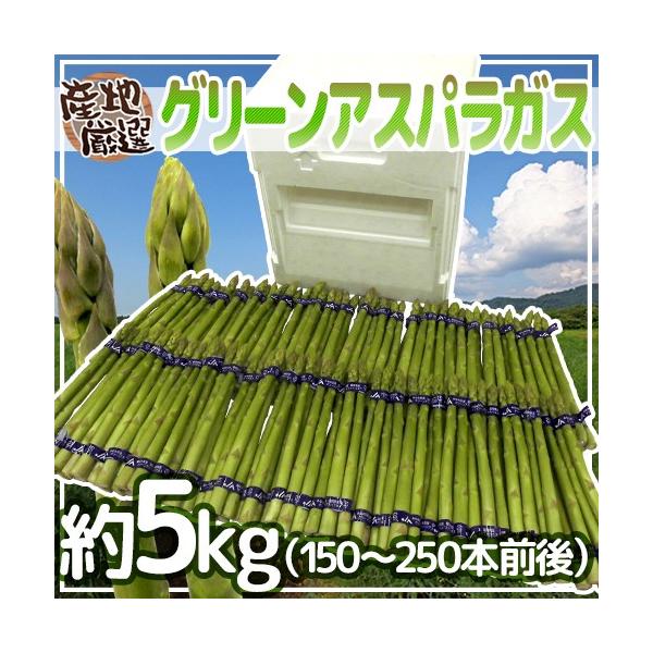 [Release date: March 30, 2026]【送料無料】独特のシャキっと食感と、ふくよかな香りが魅力のグリーンアスパラガス！ホワイトアスパラガスよりも、栄養価が高い！柔らかい旬の産地のアスパラガスをお届けします♪/5キロ/爆買