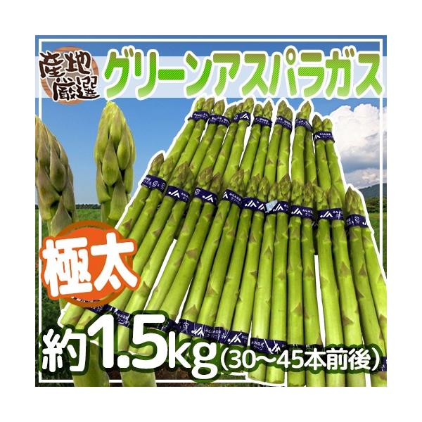 [Release date: April 10, 2026]【送料無料】独特のシャキっと食感と、ふくよかな香りが魅力のグリーンアスパラガス！ホワイトアスパラガスよりも、栄養価が高い！柔らかい旬の産地のアスパラガス♪その中でも、柔らかさ、見栄...