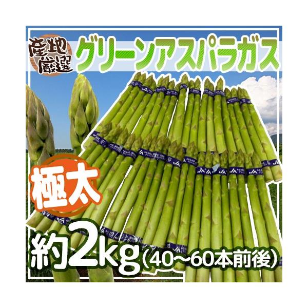 [Release date: April 10, 2026]【送料無料】独特のシャキっと食感と、ふくよかな香りが魅力のグリーンアスパラガス！ホワイトアスパラガスよりも、栄養価が高い！柔らかい旬の産地のアスパラガス♪その中でも、柔らかさ、見栄...