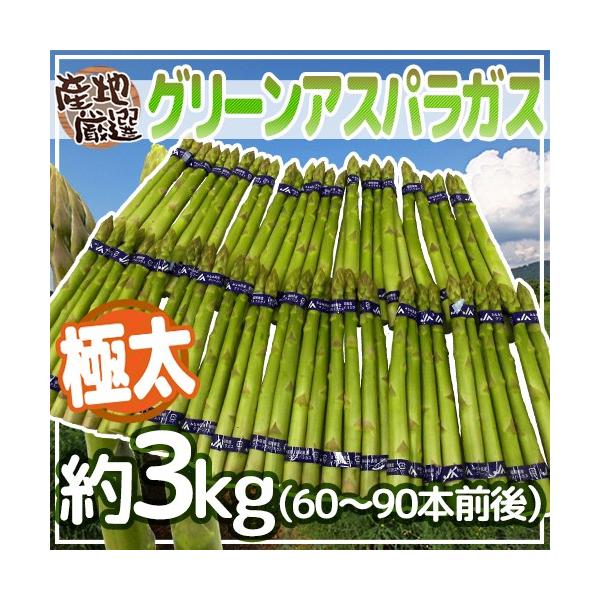 [Release date: April 10, 2026]【送料無料】独特のシャキっと食感と、ふくよかな香りが魅力のグリーンアスパラガス！ホワイトアスパラガスよりも、栄養価が高い！柔らかい旬の産地のアスパラガス♪その中でも、柔らかさ、見栄...