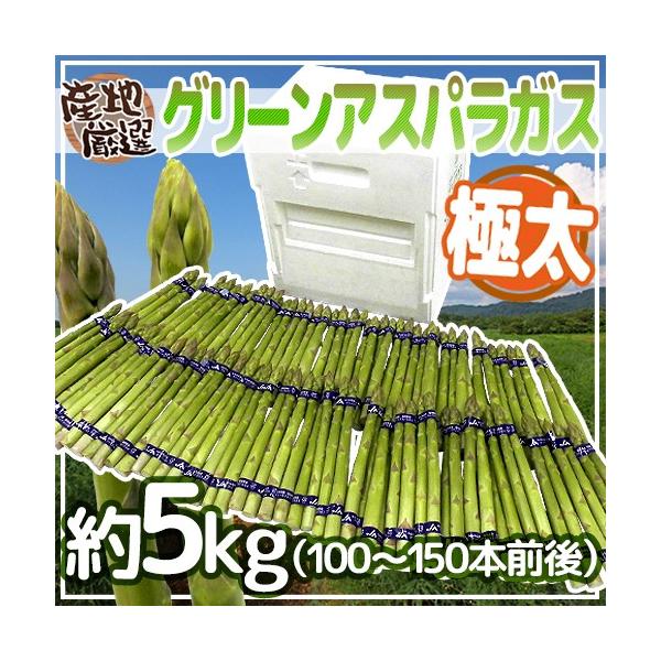 [Release date: April 10, 2026]【送料無料】独特のシャキっと食感と、ふくよかな香りが魅力のグリーンアスパラガス！ホワイトアスパラガスよりも、栄養価が高い！柔らかい旬の産地のアスパラガス♪その中でも、柔らかさ、見栄...