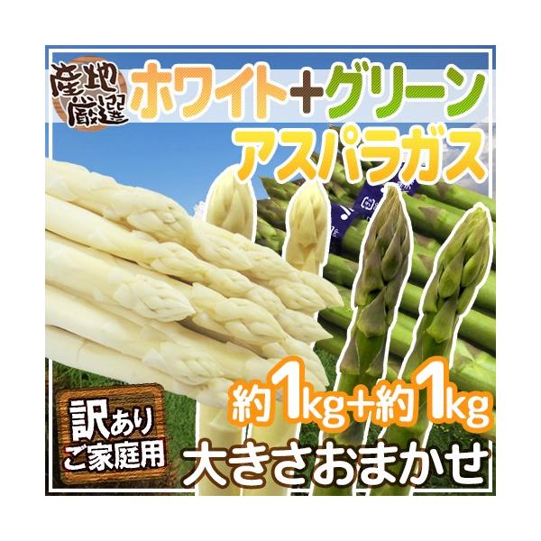 [Release date: April 10, 2026]【送料無料】独特のシャキっと食感と、独特の優しい春の香り♪日本では希少な生ホワイトアスパラガスとグリーンアスパラガスのセット！！瑞々しい春の美味しさです！/2キロ/爆買
