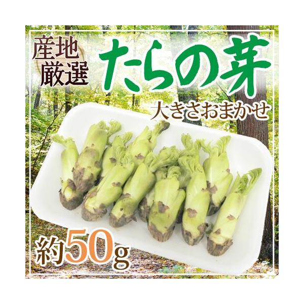 [Release date: February 10, 2026]独特のコクとまろやかなモチっと食感が人々を魅了する、春を代表する山菜「タラノメ」。油との相性抜群で天ぷら、和えもの、炒めものにピッタリです。最も良い産地のものを厳選して、ご家...