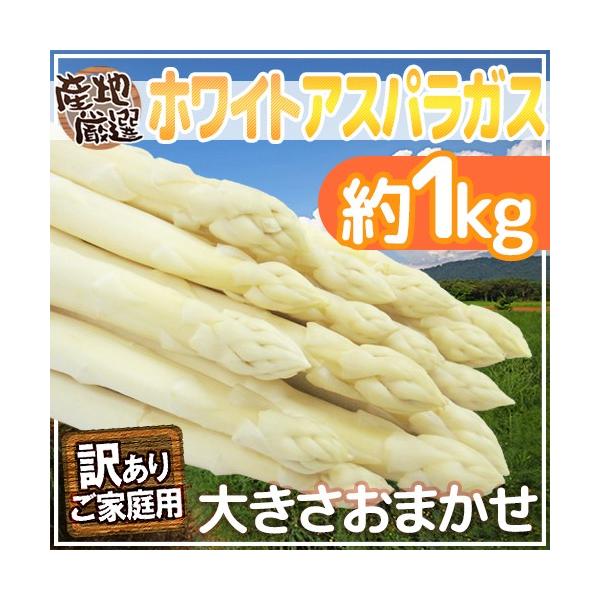 [Release date: March 30, 2026]【送料無料】独特のシャキっと食感と、独特の優しい春の香り♪日本ではとっても希少な生ホワイトアスパラガス！ヨーロッパでは春を象徴する食べ物として愛されています！/1キロ/爆買