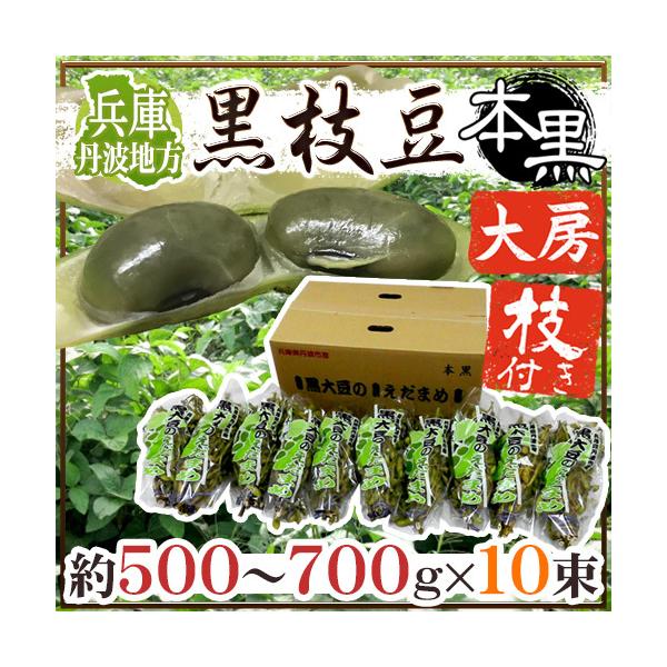  Ogn h}t} {h 500`700g×10pc y\ 10{ȍ~z 