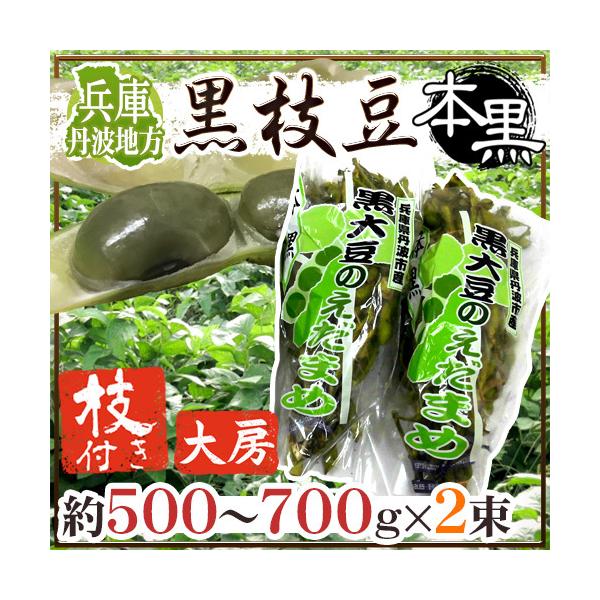  Ogn h}t} {h 500`700g×2pc y\ 10{ȍ~z 