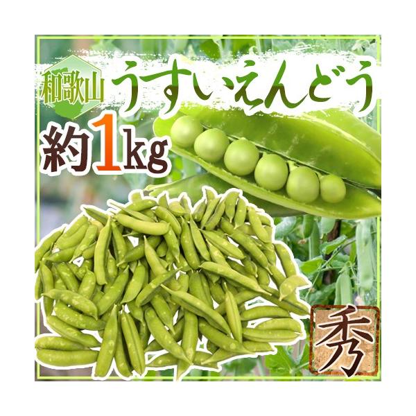 [Release date: March 20, 2026]【送料無料】和歌山特産品【碓井エンドウ】!「実えんどう」の一種であるウスイエンドウは、見た目はグリーンピースと似ていますが、味わいは別物！青臭さがなく、ホックホクでほのかな甘味のあ...