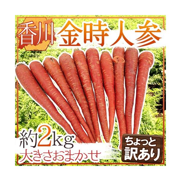 h쌧 lQh Ɩ󂠂 2kg 傫܂y\ 11{ȍ~z 