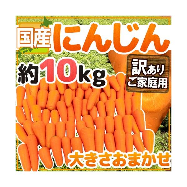 産地おまかせ♪その時々でいちばんおいしい産地のものをお届けします！訳アリだけど中はキレイ♪たっぷりボリュームでお届けです！「中元」/10キロ