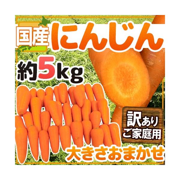 産地おまかせ♪その時々でいちばんおいしい産地のものをお届けします！訳アリだけど中はキレイ♪たっぷりボリュームでお届けです！/ニンジン/人参/5キロ