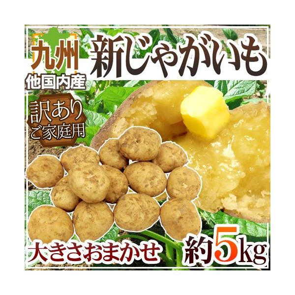 新じゃがいも” 訳あり 約5kg 大きさおまかせ 九州ほか国内産 新じゃがいも” 訳あり 約5kg 大きさおまかせ 九州ほか国内産