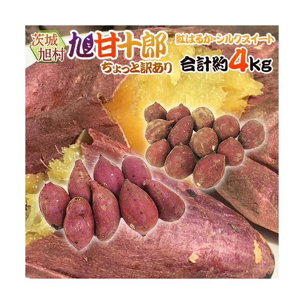 [Release date: January 31, 2026]【送料無料】芋ソムリエの選ぶブランドさつまいも♪知る人ぞ知る熟成芋・旭甘十郎！その中でもハッキリと強い甘さが感じられる「紅はるか」と上品な甘さが感じられる「シルクスイート」の食...