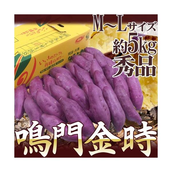 [Release date: September 10, 2020]上品な甘さとホクホククリクリの食感が魅力のブランド芋【ナルト金時】海砂でミネラルいっぱいに育ちました♪/なると金時/ナルト金時/鳴門金時/5キロ/爆買