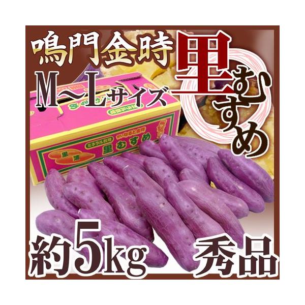 Y h ނ߁h Gi M`LTCY 5kg ܂y\ ׎攭z
