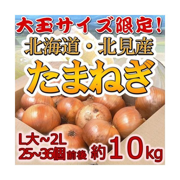 hkC kF1 ܂˂h Gi 10kg L`LLTCY ʔKy\ 8ȍ~z 